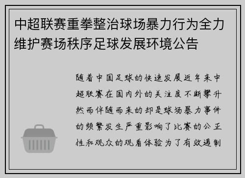 中超联赛重拳整治球场暴力行为全力维护赛场秩序足球发展环境公告
